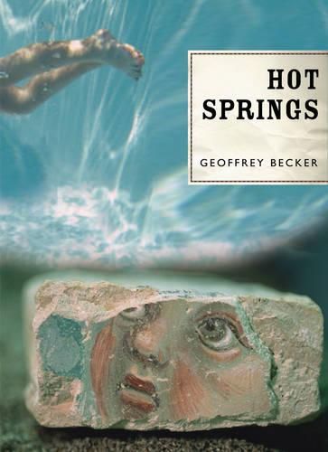 Cover image for Hot Springs