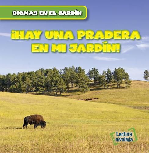 Cover image for Vivo Cerca de Una Pradera (There Are Grasslands in My Backyard!)