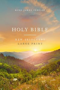 Cover image for KJV Large Print Outreach New Testament Bible, Scenic Softcover, Comfort Print