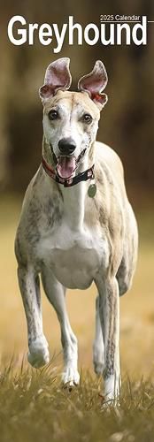 Cover image for Greyhound Slim Calendar 2025 Dog Breed Slimline Calendar - 12 Month