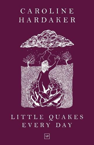 Cover image for Little Quakes Every Day