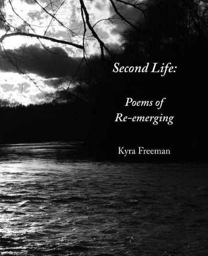 Cover image for Second Life: Poems of Re-Emerging