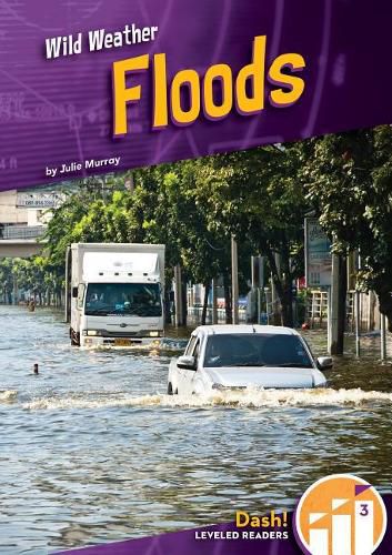 Cover image for Floods