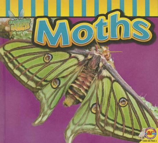 Cover image for Moths