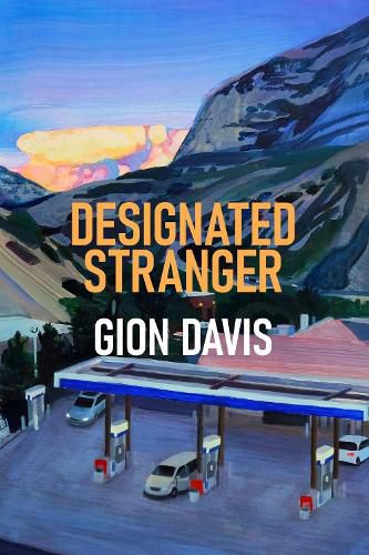 Cover image for Designated Stranger