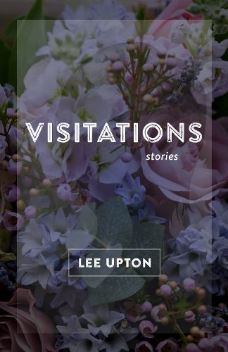 Cover image for Visitations: Stories