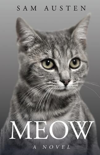 Cover image for Meow