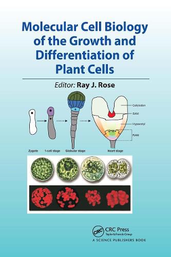 Cover image for Molecular Cell Biology of the Growth and Differentiation of Plant Cells