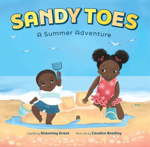 Cover image for Sandy Toes: A Summer Adventure (a Let's Play Outside! Book)