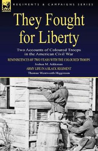 Cover image for They Fought for Liberty: Two Accounts of Coloured Troops in the American Civil War