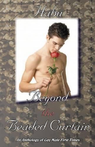 Cover image for Beyond the Beaded Curtain: An Anthology of Gay First Times