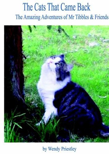 Cover image for The Cats That Came Back