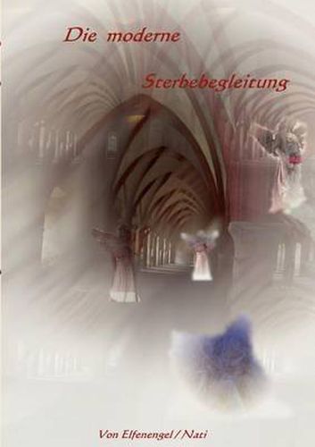 Cover image for Die moderne Sterbebegleitung