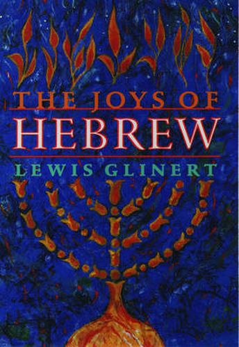 Cover image for The Joys of Hebrew