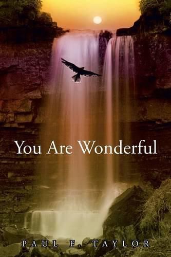 Cover image for You are Wonderful