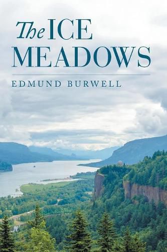 Cover image for The Ice Meadows