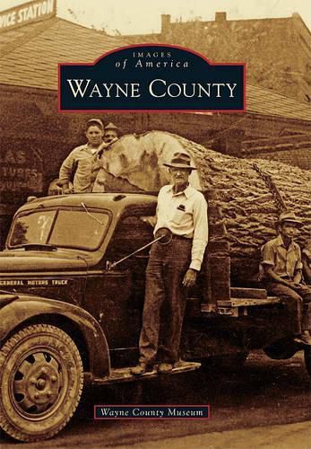 Cover image for Wayne County