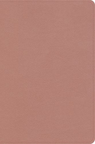 Cover image for KJV Study Bible, Personal Size Edition, Rose Gold Leathertouch