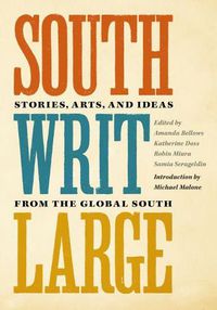 Cover image for South Writ Large: Stories from the Global South