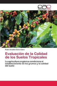 Cover image for Evaluacion de la Calidad de los Suelos Tropicales