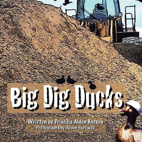 Big Dig Ducks