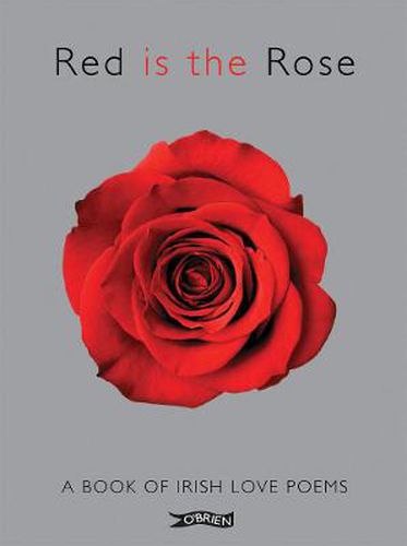 Cover image for Red is the Rose: A Book of Irish Love Poems