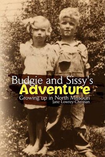 Cover image for Budgie and Sissy's Adventure