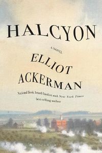Cover image for Halcyon: A novel