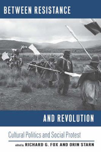 Cover image for Between Resistance and Revolution: Cultural Politics and Social Protest