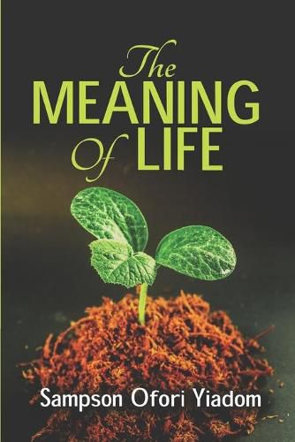 Cover image for The MEANING OF LIFE