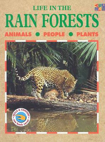 Life in the Rainforests