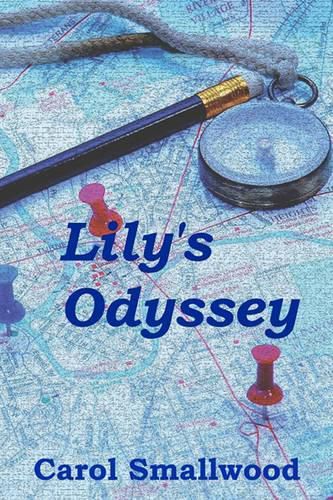 Cover image for Lily's Odyssey