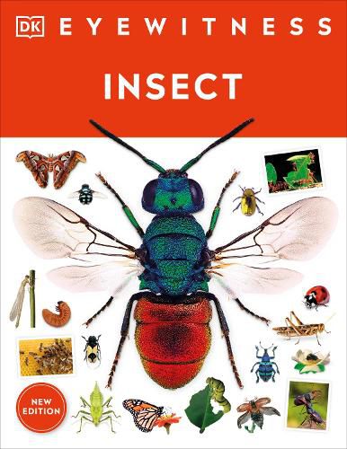 Cover image for Eyewitness Insect