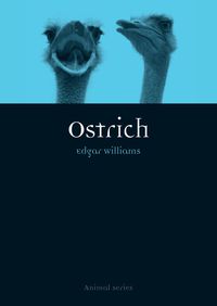Cover image for Ostrich
