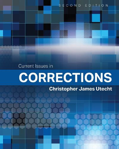 Cover image for Current Issues in Corrections