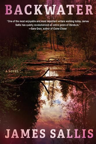 Cover image for Backwater