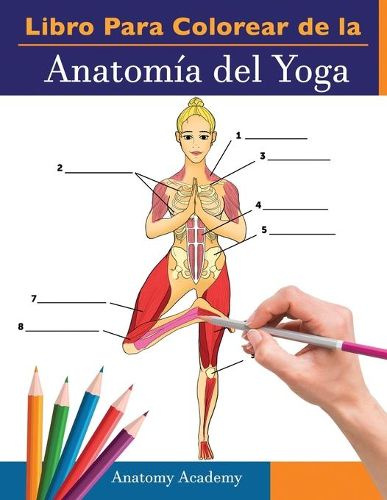 Cover image for Libro Para Colorear de la Anatomia del Yoga: 3-en-1 Compilacion Mas de 150 Ejercicios de Colores con Posturas de Yoga Para Principiantes, Intermedios y Expertos muy Detallados