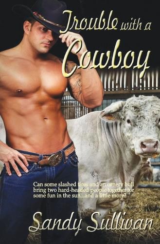Cover image for Trouble with a Cowboy