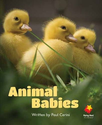 Cover image for Animal Babies
