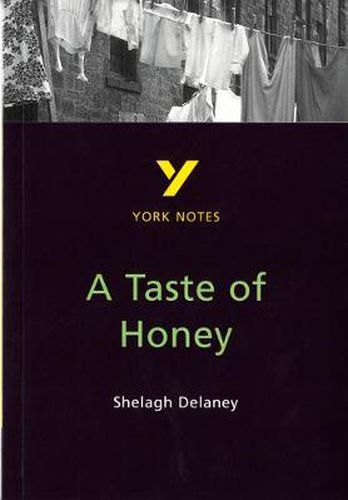 Cover image for A Taste of Honey: everything you need to catch up, study and prepare for 2021 assessments and 2022 exams