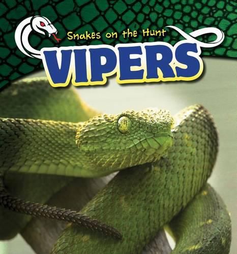 Cover image for Vipers