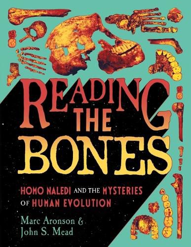 Cover image for Reading the Bones