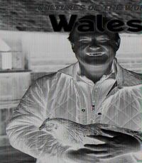Cover image for Wales
