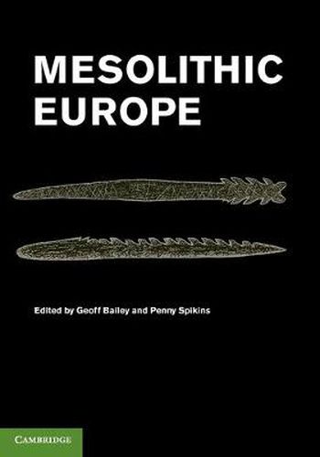 Cover image for Mesolithic Europe