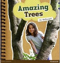 Cover image for Bug Club Guided Non Fiction Year 1 Green A Amazing Trees