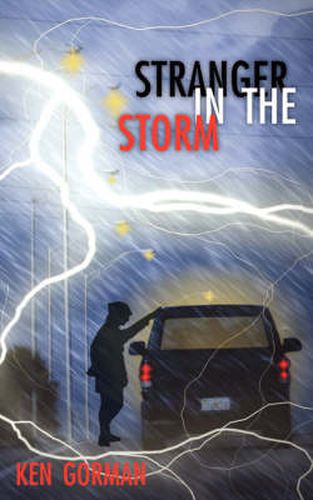 Cover image for Stranger in the Storm