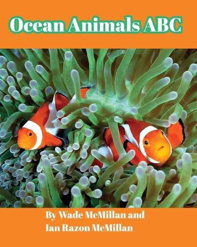 Cover image for Ocean Animals ABC