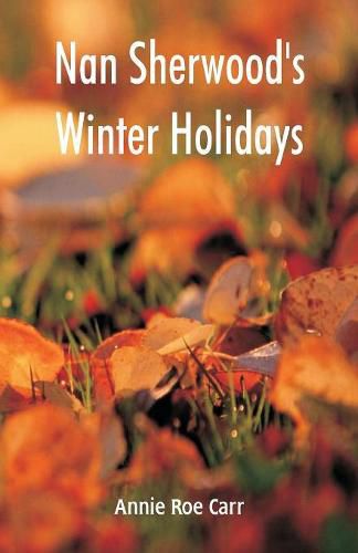 Cover image for Nan Sherwood's Winter Holidays