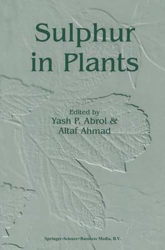 Cover image for Sulphur in Plants