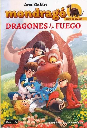 Cover image for Dragones de Fuego